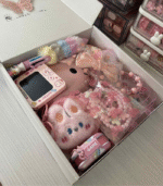Princess Surprise Box
